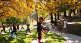 mindful movement and meditation