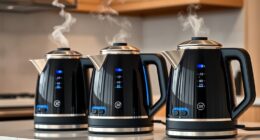 top electric kettles with temperature control