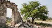 distinguishing structural failure signs