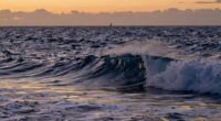 ocean dreams evoke strength