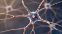 perceived security activates calming neural pathways