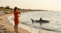 Long Island sharks: Point Lookout beach closed after lifeguards spot 9-foot shark in water